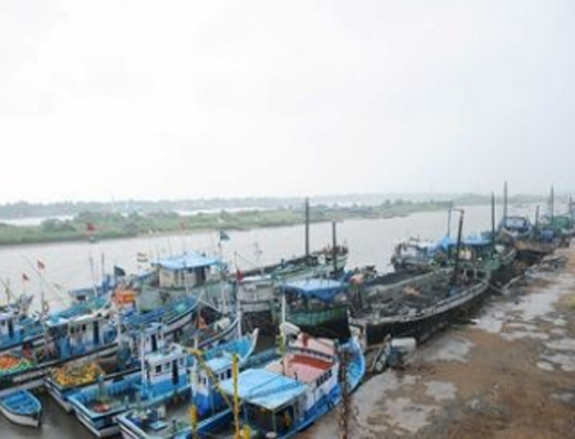 harbour 14